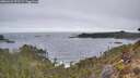 ./images/calvert/foggy-cove/20260421/foggy-cove20260421_072501M.jpg