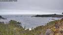./images/calvert/foggy-cove/20260421/foggy-cove20260421_073001M.jpg