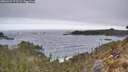 ./images/calvert/foggy-cove/20260421/foggy-cove20260421_073501M.jpg