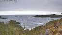 ./images/calvert/foggy-cove/20260421/foggy-cove20260421_082001M.jpg