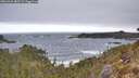 ./images/calvert/foggy-cove/20260421/foggy-cove20260421_083501M.jpg