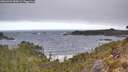 ./images/calvert/foggy-cove/20260421/foggy-cove20260421_084001M.jpg