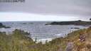 ./images/calvert/foggy-cove/20260421/foggy-cove20260421_090002M.jpg