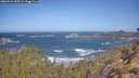 ./images/calvert/foggy-cove/20260422/foggy-cove20260422_105502M.jpg