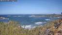 ./images/calvert/foggy-cove/20260422/foggy-cove20260422_110001M.jpg