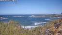./images/calvert/foggy-cove/20260422/foggy-cove20260422_110501M.jpg