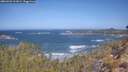 ./images/calvert/foggy-cove/20260422/foggy-cove20260422_111001M.jpg