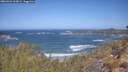./images/calvert/foggy-cove/20260422/foggy-cove20260422_112001M.jpg