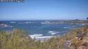 ./images/calvert/foggy-cove/20260422/foggy-cove20260422_113001M.jpg