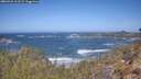 ./images/calvert/foggy-cove/20260422/foggy-cove20260422_113501M.jpg
