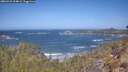 ./images/calvert/foggy-cove/20260422/foggy-cove20260422_114002M.jpg