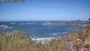 ./images/calvert/foggy-cove/20260422/foggy-cove20260422_114501M.jpg