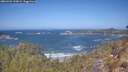 ./images/calvert/foggy-cove/20260422/foggy-cove20260422_120001M.jpg