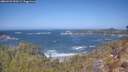 ./images/calvert/foggy-cove/20260422/foggy-cove20260422_120501M.jpg