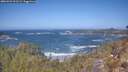 ./images/calvert/foggy-cove/20260422/foggy-cove20260422_121501M.jpg