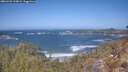 ./images/calvert/foggy-cove/20260422/foggy-cove20260422_123002M.jpg