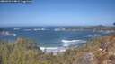 ./images/calvert/foggy-cove/20260422/foggy-cove20260422_124001M.jpg