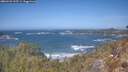 ./images/calvert/foggy-cove/20260422/foggy-cove20260422_125501M.jpg