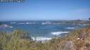./images/calvert/foggy-cove/20260422/foggy-cove20260422_130501M.jpg