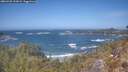 ./images/calvert/foggy-cove/20260422/foggy-cove20260422_131001M.jpg