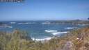 ./images/calvert/foggy-cove/20260422/foggy-cove20260422_133001M.jpg