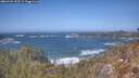 ./images/calvert/foggy-cove/20260422/foggy-cove20260422_133501M.jpg