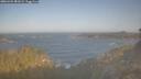 ./images/calvert/foggy-cove/20260423/foggy-cove20260423_081002M.jpg