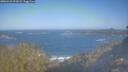./images/calvert/foggy-cove/20260423/foggy-cove20260423_091001M.jpg