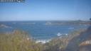 ./images/calvert/foggy-cove/20260423/foggy-cove20260423_094501M.jpg