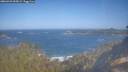 ./images/calvert/foggy-cove/20260423/foggy-cove20260423_095001M.jpg