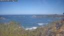 ./images/calvert/foggy-cove/20260423/foggy-cove20260423_104501M.jpg