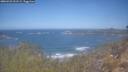 ./images/calvert/foggy-cove/20260423/foggy-cove20260423_111501M.jpg