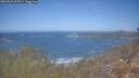 ./images/calvert/foggy-cove/20260423/foggy-cove20260423_113001M.jpg