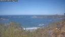 ./images/calvert/foggy-cove/20260423/foggy-cove20260423_114001M.jpg