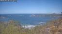./images/calvert/foggy-cove/20260423/foggy-cove20260423_115002M.jpg