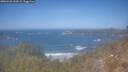 ./images/calvert/foggy-cove/20260423/foggy-cove20260423_132002M.jpg