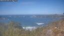 ./images/calvert/foggy-cove/20260423/foggy-cove20260423_133501M.jpg