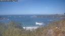 ./images/calvert/foggy-cove/20260423/foggy-cove20260423_134501M.jpg