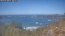 ./images/calvert/foggy-cove/20260423/foggy-cove20260423_140001M.jpg