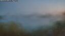 ./images/calvert/foggy-cove/20260424/foggy-cove20260424_055501M.jpg