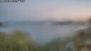 ./images/calvert/foggy-cove/20260424/foggy-cove20260424_060501M.jpg