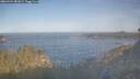 ./images/calvert/foggy-cove/20260424/foggy-cove20260424_081001M.jpg