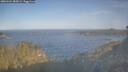 ./images/calvert/foggy-cove/20260424/foggy-cove20260424_082001M.jpg