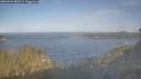 ./images/calvert/foggy-cove/20260424/foggy-cove20260424_082501M.jpg
