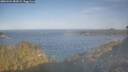./images/calvert/foggy-cove/20260424/foggy-cove20260424_083001M.jpg