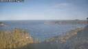 ./images/calvert/foggy-cove/20260424/foggy-cove20260424_083501M.jpg