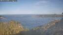 ./images/calvert/foggy-cove/20260424/foggy-cove20260424_084001M.jpg