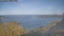./images/calvert/foggy-cove/20260424/foggy-cove20260424_090001M.jpg