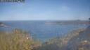 ./images/calvert/foggy-cove/20260424/foggy-cove20260424_091002M.jpg