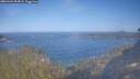 ./images/calvert/foggy-cove/20260424/foggy-cove20260424_093001M.jpg